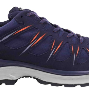 Lowa Innox Evo 4daagse GTX Lo herenwandelschoen