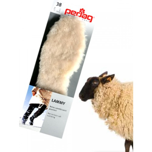 Pedag Lammy - Afbeelding 4