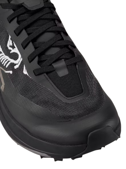 Arc’teryx Sylan Pro Shoe Men’s - Afbeelding 4