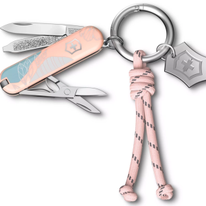 65. Victorinox Classic SD en Key Ring, Paris Style, zakmes